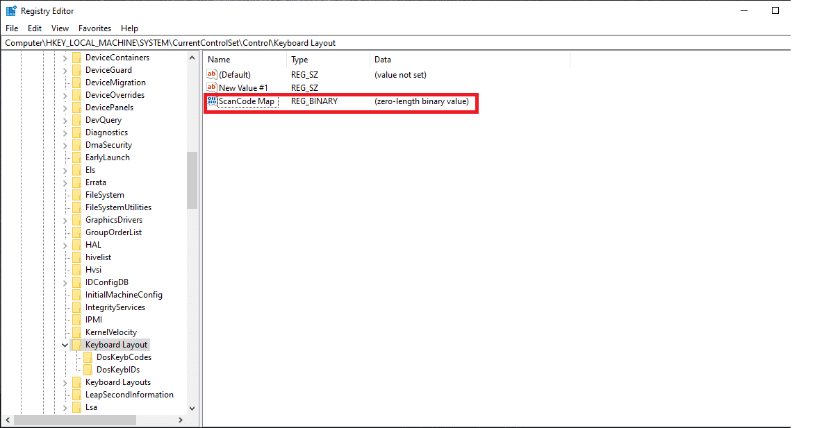 Renaming the Binary Value