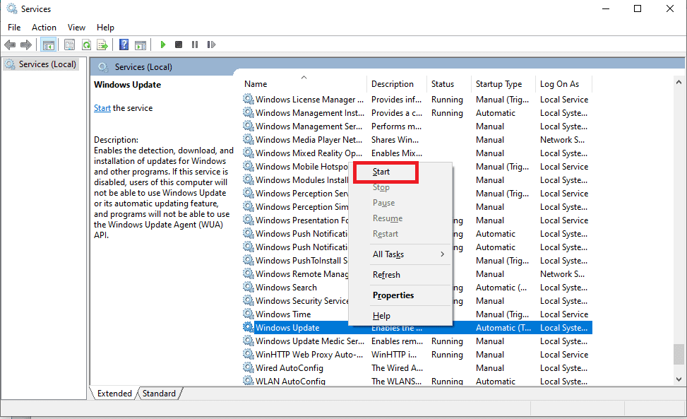 Start windows update services