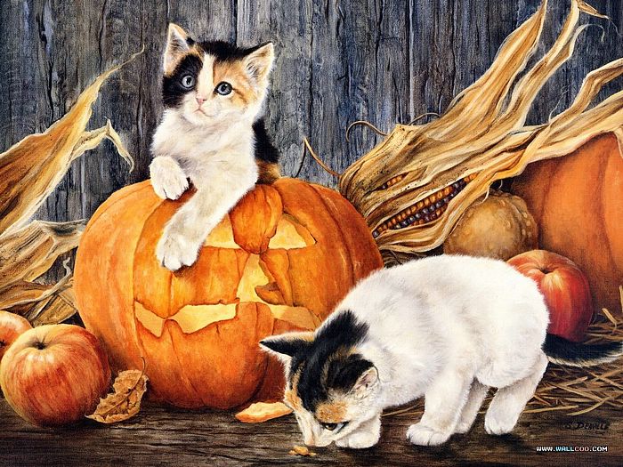 Halloween Wallpaper (Source: Wallcoo)