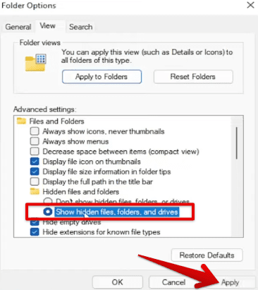Revealing the hidden files in Windows Explorer