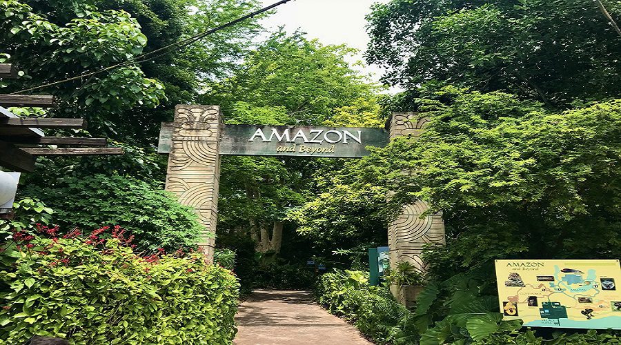 amazon and beyond in zoo miami