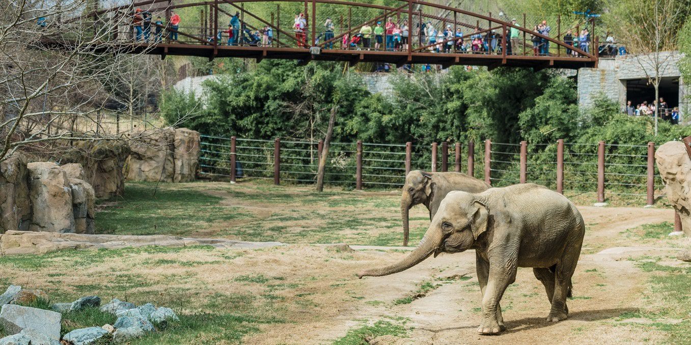 smithsonian national zoo