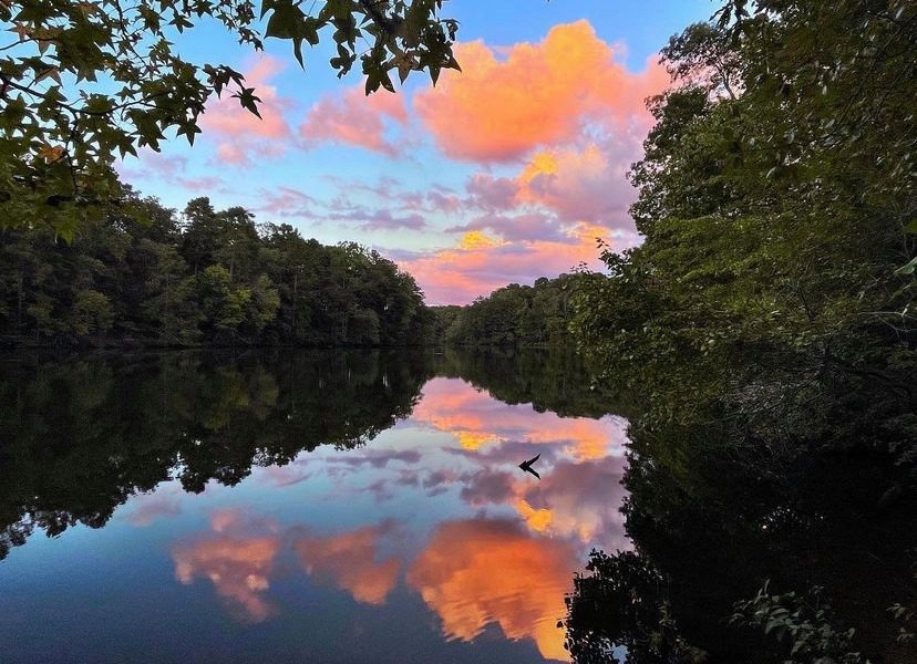 stone mountain park