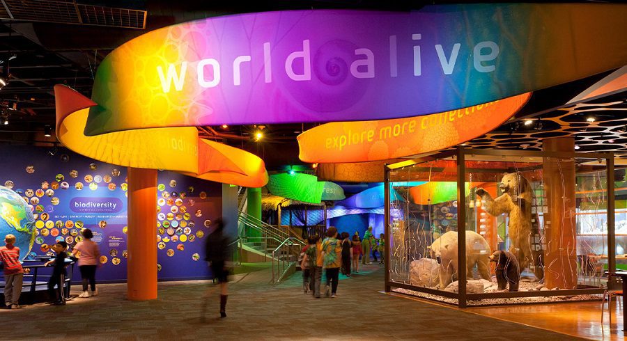 the world alive exhibit in discovery place