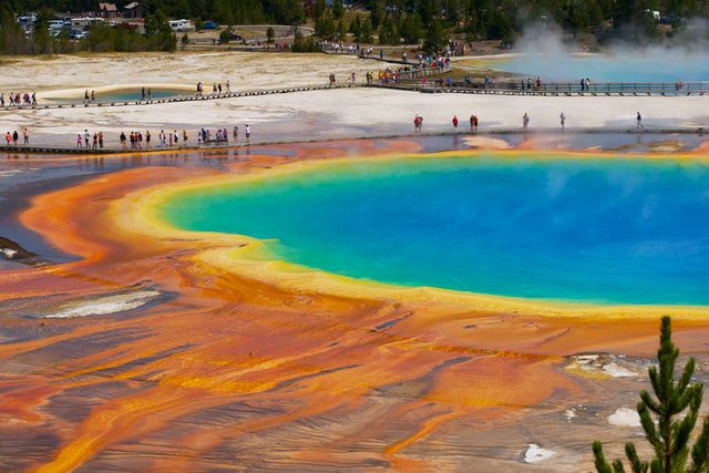 yellow stone national park