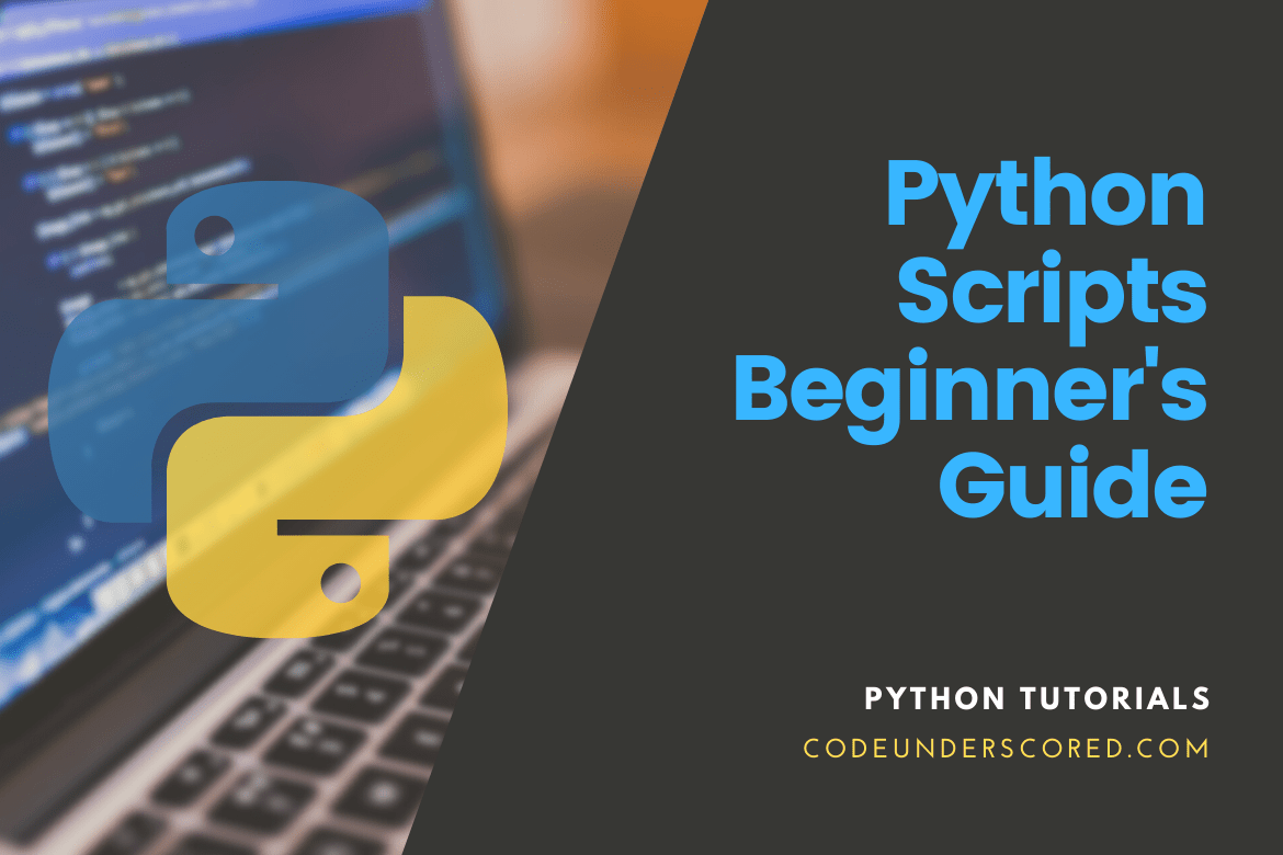 Python Scripts Beginner Guide
