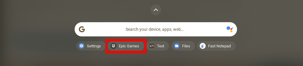 Launch Epic Games application