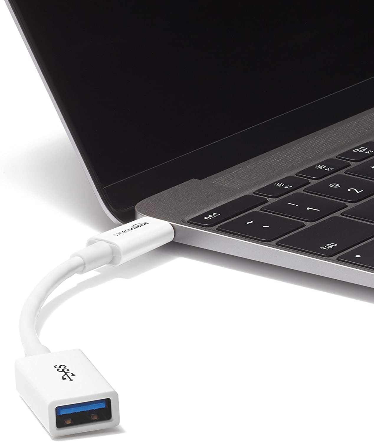 USB-C to USB Adapter (Amazon Basics)