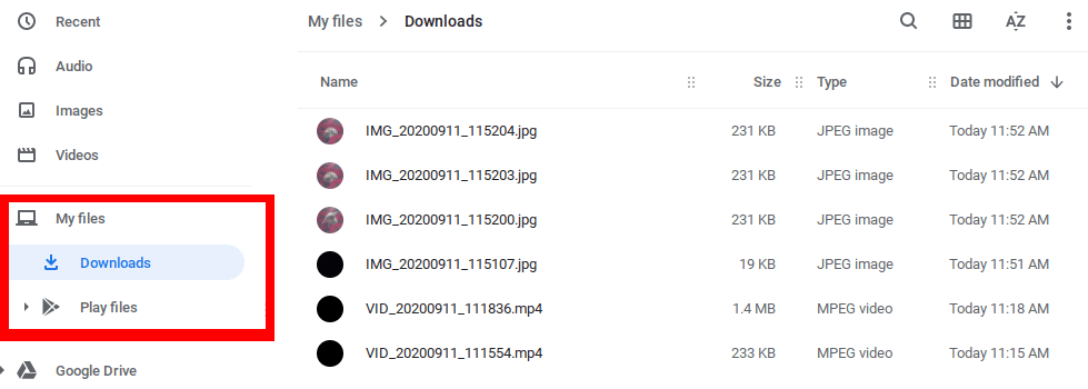 Downloads directory