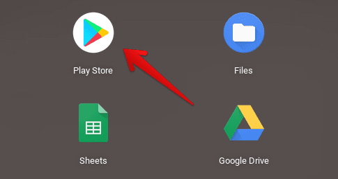 Opening the Play Store