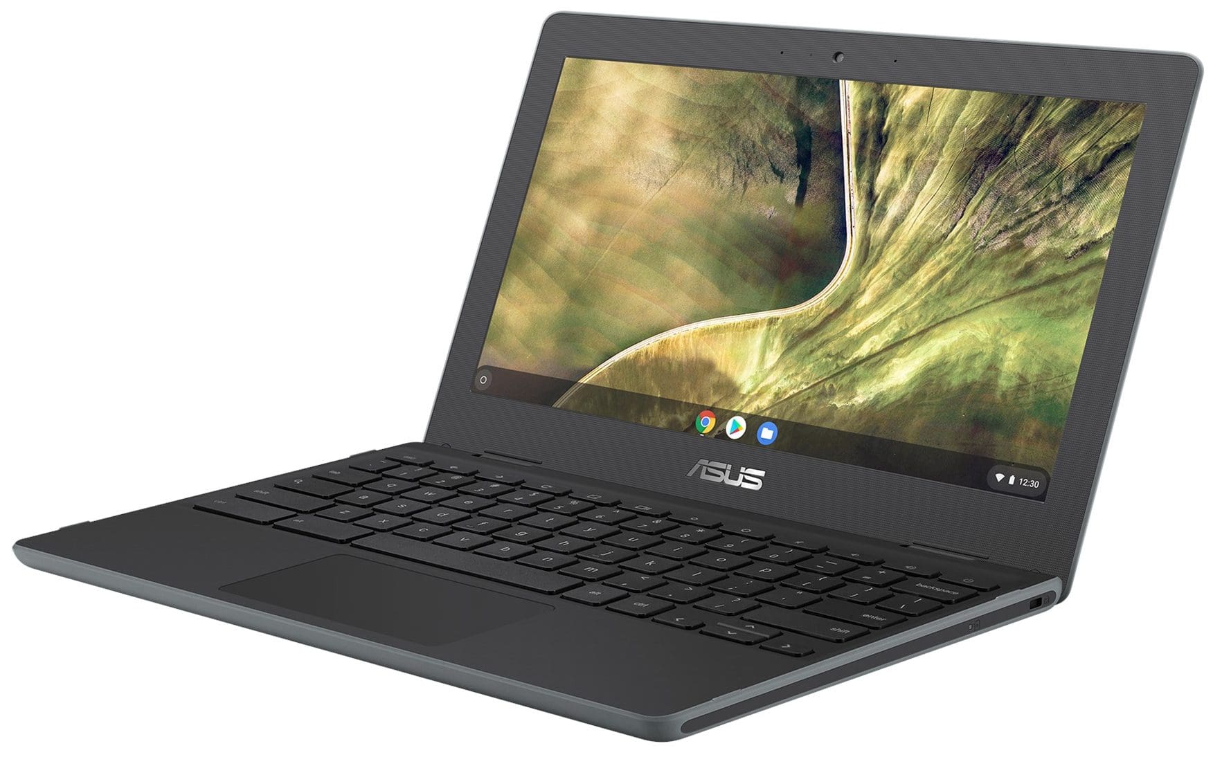 Asus Chromebook C204