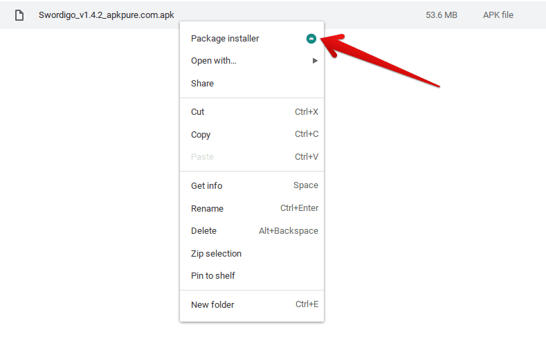 Installing the APK File