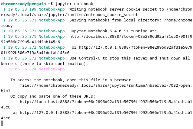 Launching Jupyter Notebook on Chrome