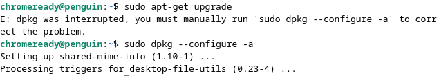 Upgrading Linux