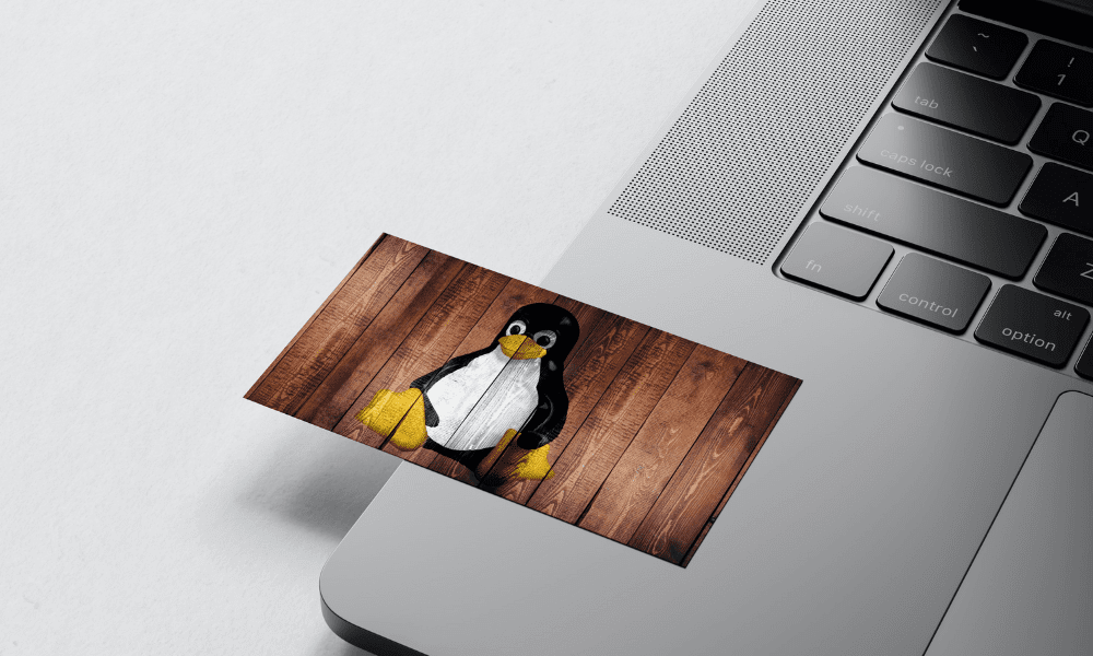 linux on chromebook