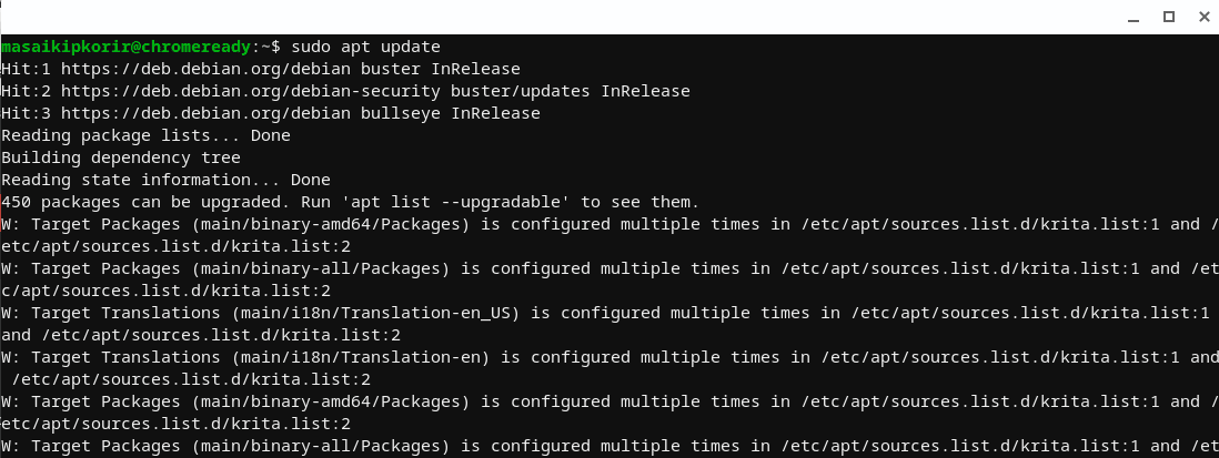 run sudo update command
