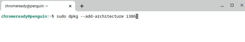 Entering the command-line in the Linux Terminal