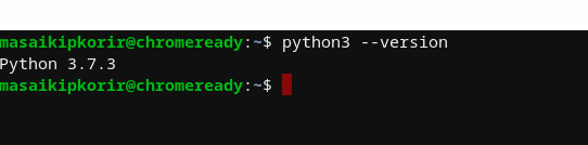 python version