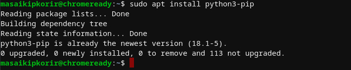 install pip