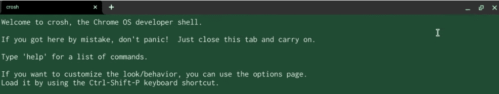 Chrome OS developer shell opened