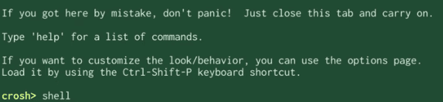 Entering the "shell" command in "crosh"
