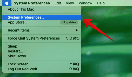 System preferences