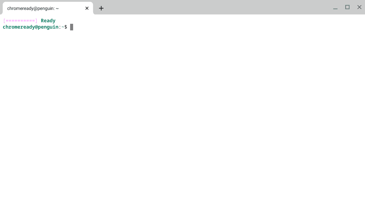 The Linux Terminal in Chrome OS