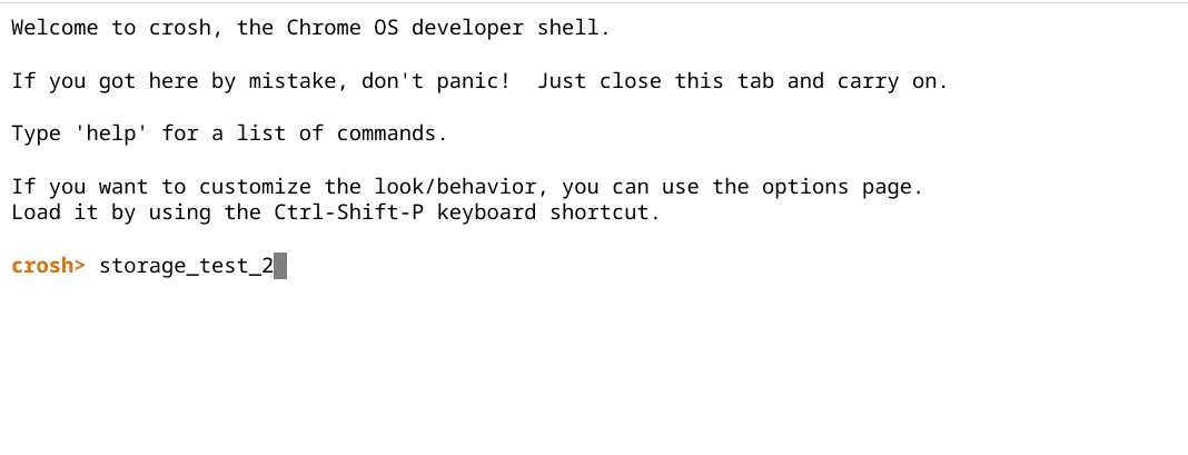 Entering the second storage test command in Crosh
