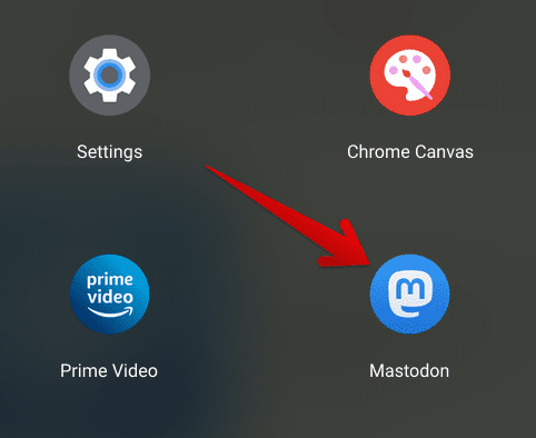 Mastodon installed on Chrome OS
