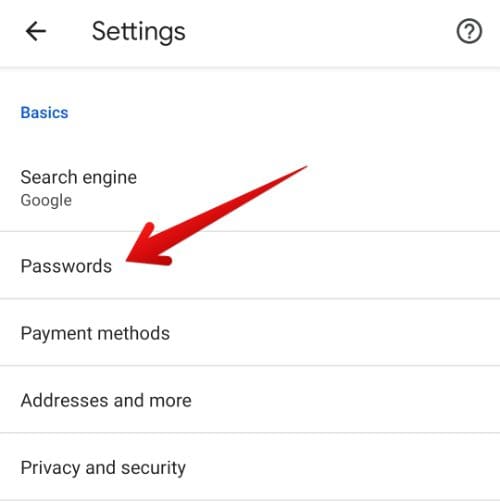 Passwords tab under basics section