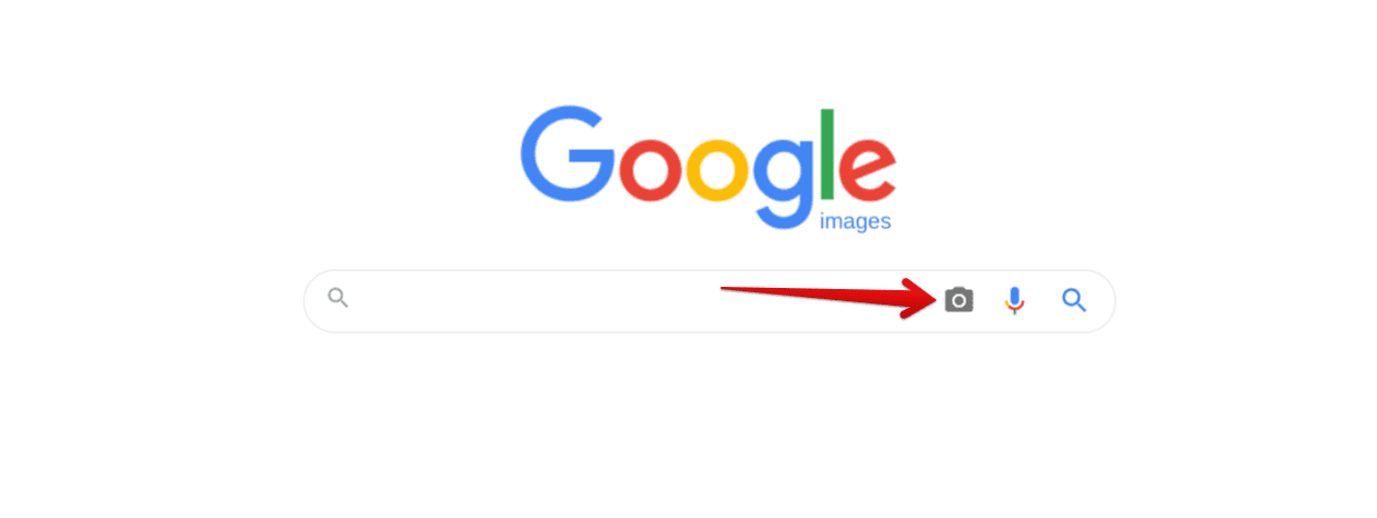 Clicking on the "Search by image" icon