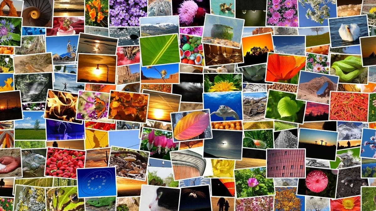 HOW TO: Make a Photo Collage Using Photos from your Google Drive