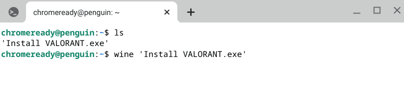 Installing Valorant through Wine