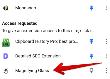 Clicking on the Magnifying Glass extension