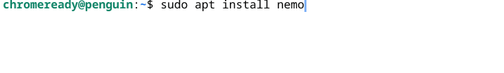Installing Nemo on ChromeOS