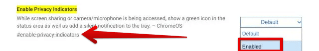 Enabling the Privacy Indicators Chrome flag