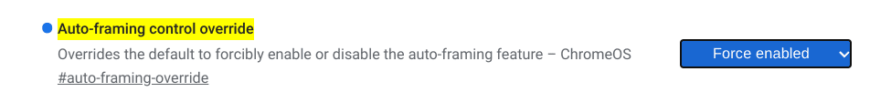 Force-enabling the ChromeOS automatic camera framing feature
