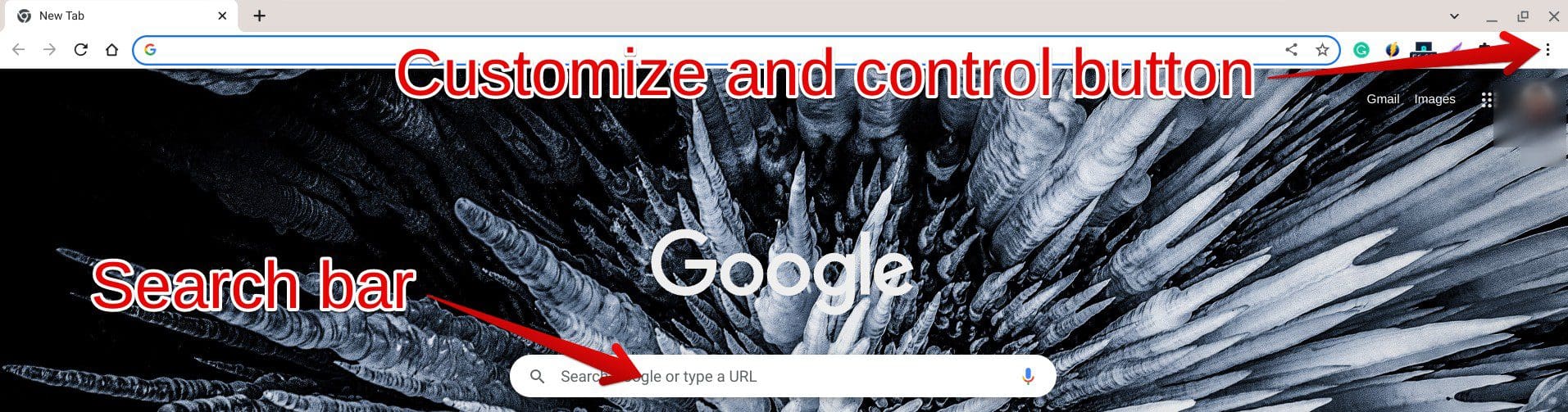 Google Chrome interface screenshot with annotation