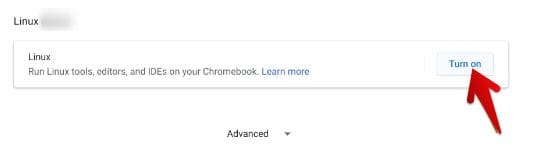 Enabling Linux on ChromeOS