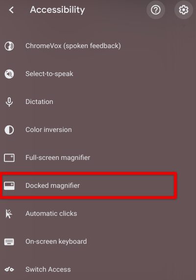 Enabling the "Docked magnifier" feature