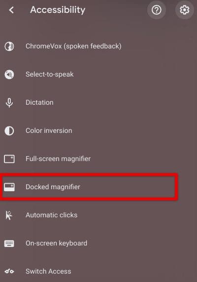 Enabling the "Docked magnifier" feature