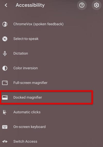 Enabling the "Docked magnifier" feature