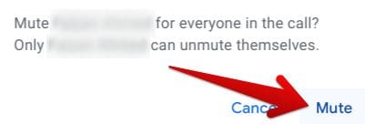 Muting a participant in Meet