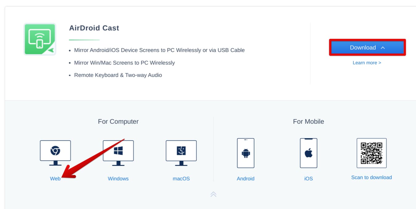 Choosing the "Web" option