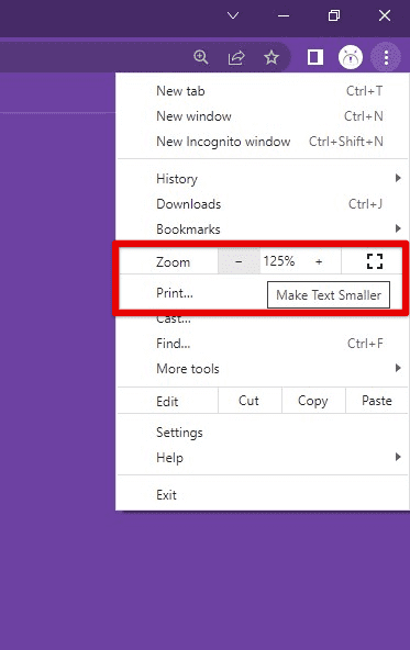 Resetting the zoom level back to 100%