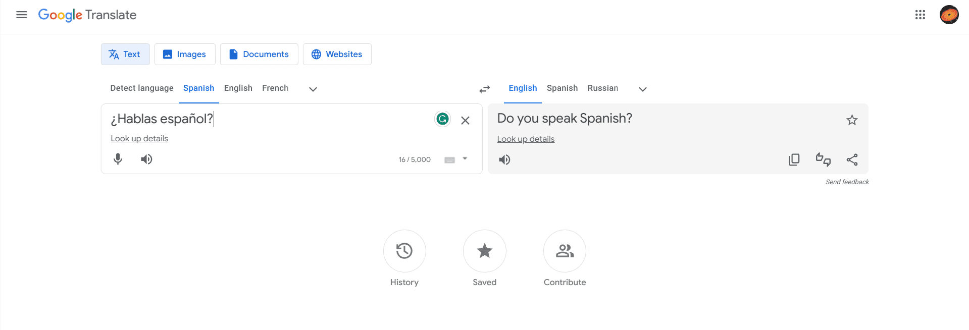 Google Translate on the web