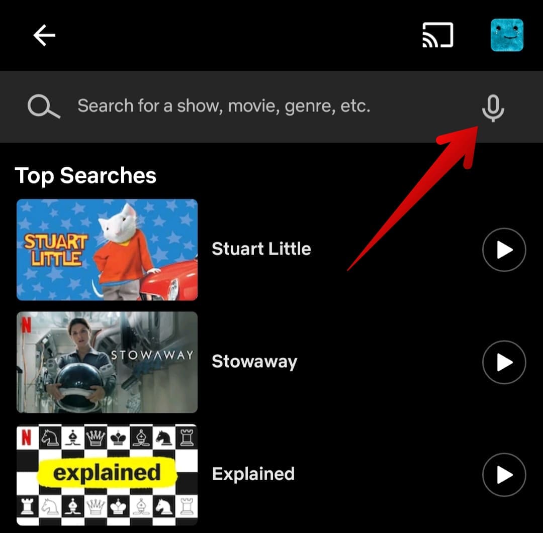 Using voice search with Netflix