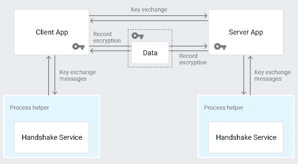 HTTPS encryption during transit