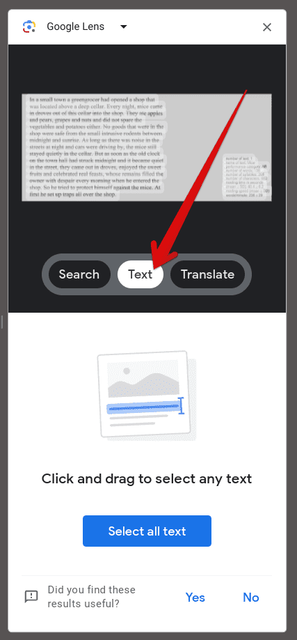 The "Text" feature in Google Lens