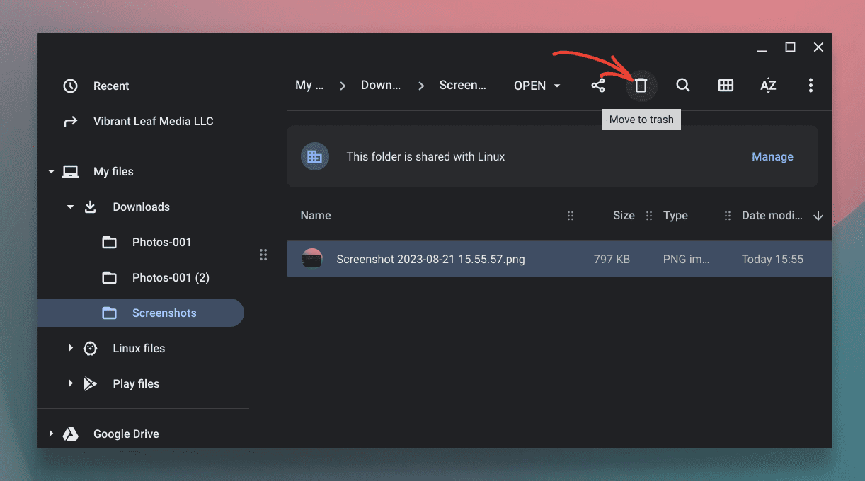 deleting files from files app on chromeos
